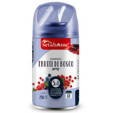 DEO AMBIENTE AUTOM 250ML FRUTTI DI BOSCO (24pz)